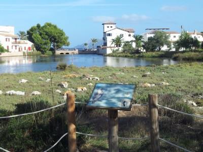 La Gola House Lägenhet Port de Pollença Exteriör bild